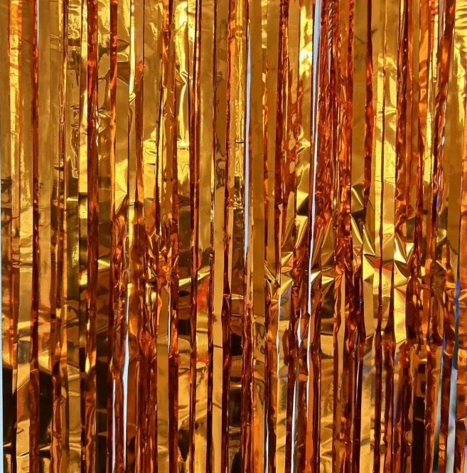 Foil Fringe Curtains Birthday  - Photography Website ulasan dan harga