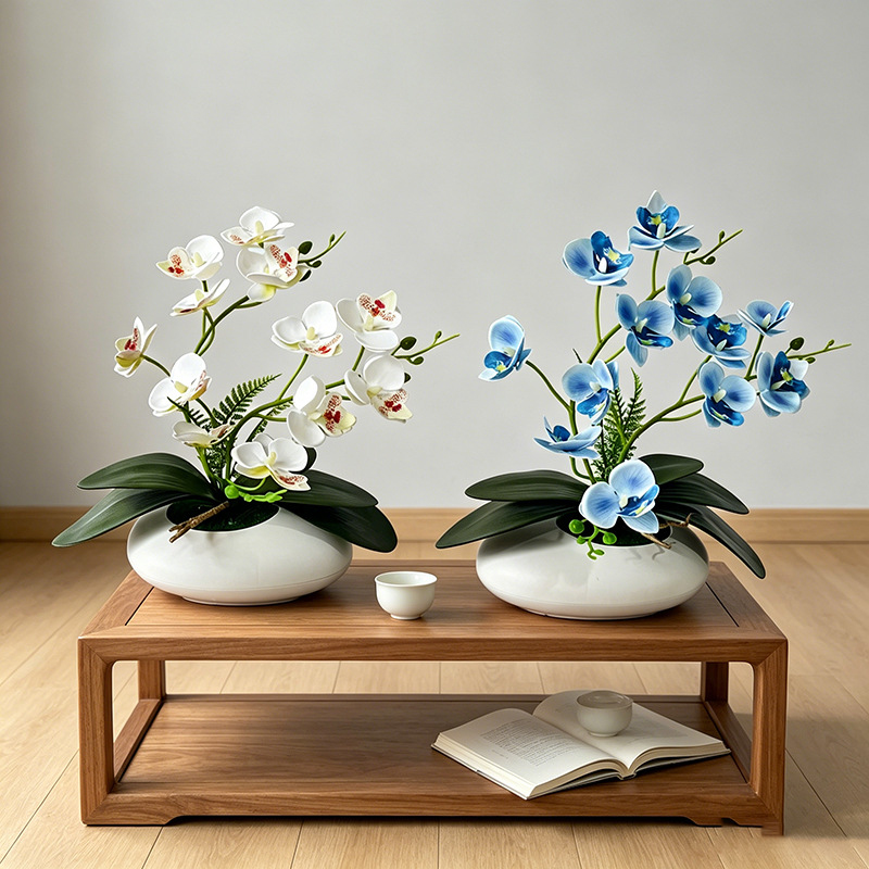 Butterfly Orchid 12 Flower Bon - Photography Graduation ulasan dan harga