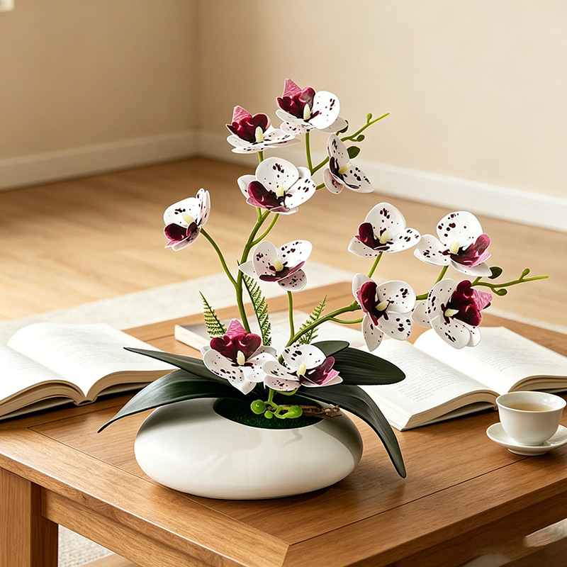 Butterfly Orchid 12 Flower Bon - Photography Graduation ulasan dan harga