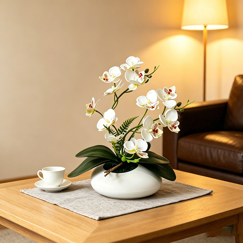 Butterfly Orchid 12 Flower Bon - Photography Graduation ulasan dan harga