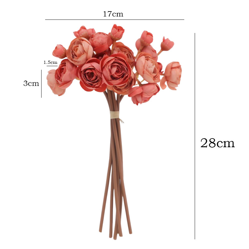11INCH 6pcs-1set Small Camelli - Photography Graduation ulasan dan harga