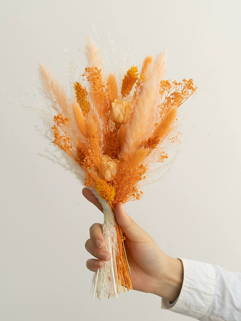 Preserved Rose Rabbit Tail Ree - Photography Graduation ulasan dan harga
