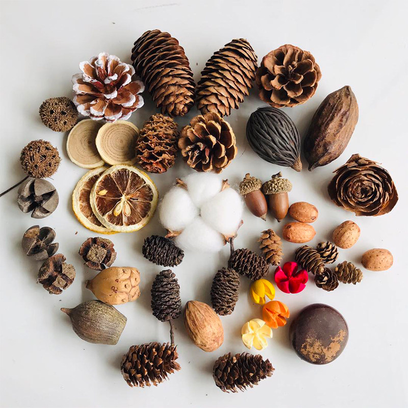 Natural Dried Pinecones Leaves - Photography Graduation ulasan dan harga