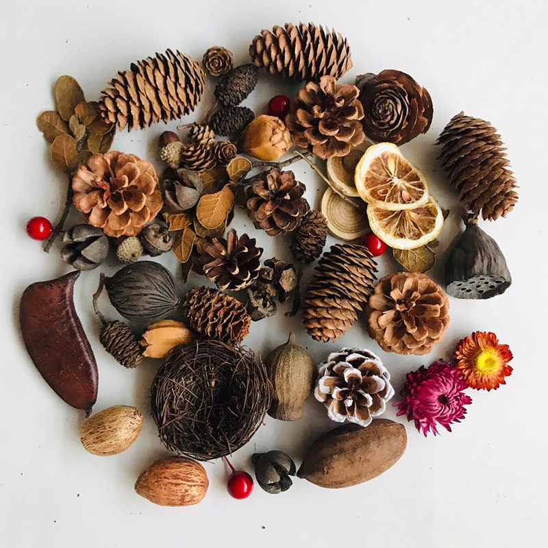 Natural Dried Pinecones Leaves - Photography Graduation ulasan dan harga