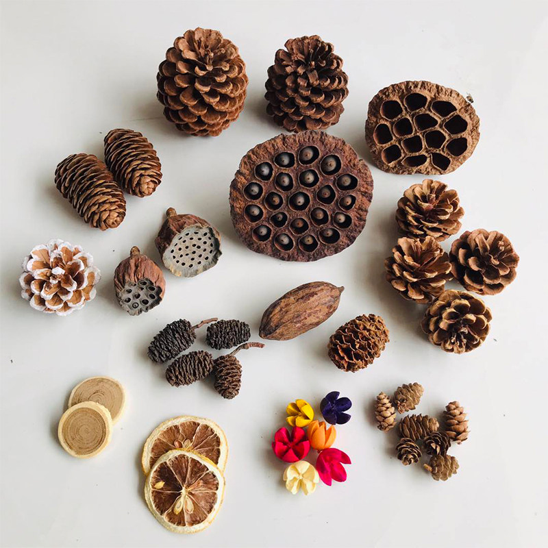 Natural Dried Pinecones Leaves - Photography Graduation ulasan dan harga